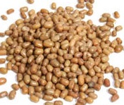 Moth Dal(matki) 500g